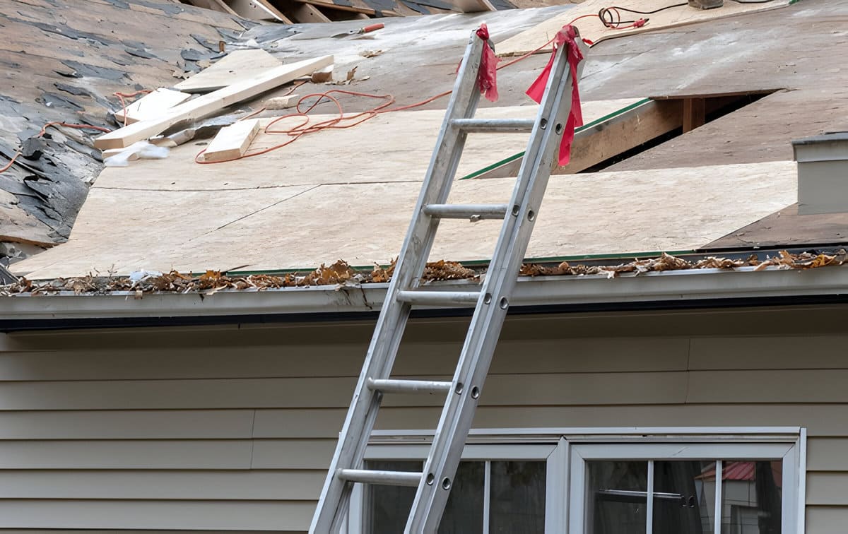 Professional Carpenters